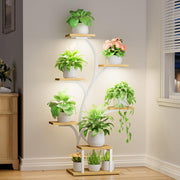BACEKOLL front view of lighted plant shelf showing organized greenery benefit