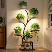 BACEKOLL front view of lighted plant shelf showing plants beautifully displayed