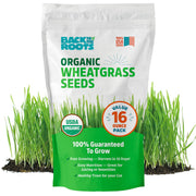 Back to the Roots front bag showing organic label and value pack benefit