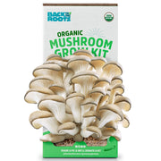 Back to the Roots front packaging showing kit and benefits