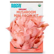 Back to the Roots front packaging showing kit and eco-friendly box advantage