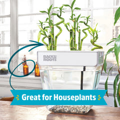 Back to the Roots clear aquarium view illustrating water clarity and planter integration benefit