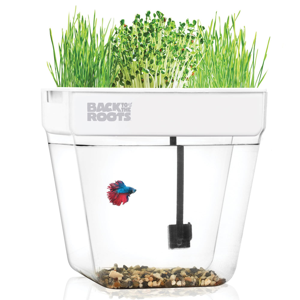 Back to the Roots front view showing 3-gallon tank and planter for compact living spaces