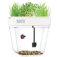 Back to the Roots front view showing 3-gallon tank and planter for compact living spaces