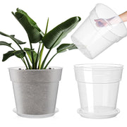 Baderke clear nursery pot front view showing transparent walls and sturdy rim