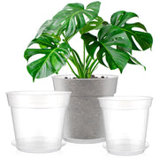 Baderke clear pots front view showing three sizes and tidy trays for convenient drainage