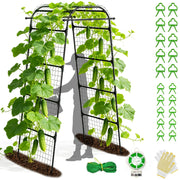 BAG WIZARD front view of arch showing full structure and garden benefit