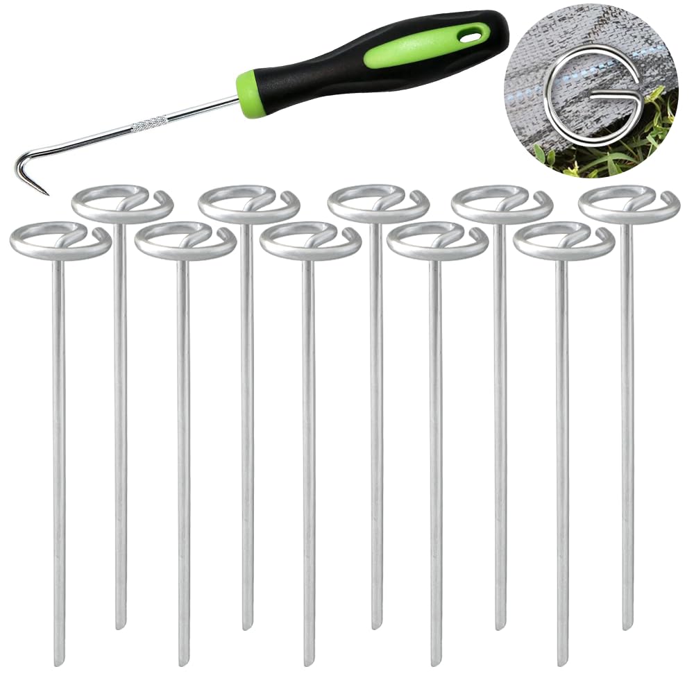 Bakulyor front packaging showing 50-pack and stake benefits