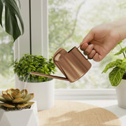 Bamworld bronze watering can front view showing compact design and decorative appeal