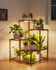 Bamworld corner plant stand front view shows tidy multi-plant display and space savings