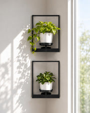 bamworld front view corner planter showcasing clean framed display and space saving