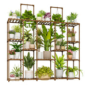 Bamworld front view full shelf showing tiered plant capacity and neat display