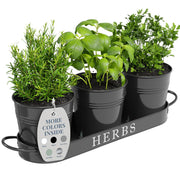 Barnyard Designs front view of three-box planter set showing neat countertop gardening