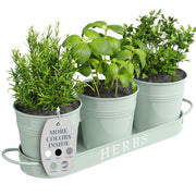 Barnyard Designs front view of soft mint three-pot planter shows tidy countertop gardening