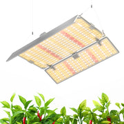 Barrina front panel showing full LED layout and even coverage benefit