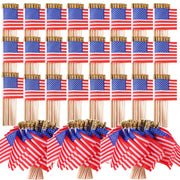 Batiyeer front spread showing 500 handheld flags ready for events