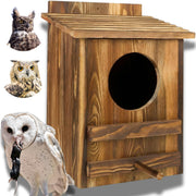 Bbbyddd front view of owl house showing rustic appearance and outdoor appeal