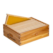 BeeCastle medium super front view showing cedar box and included frames for durable storage