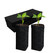 Belit front packaging showing 100 grow bags and quantity benefit