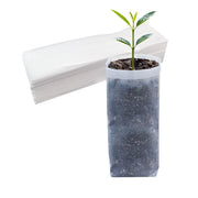 Belit front view packaging showing 50-pack and benefit of bulk supply