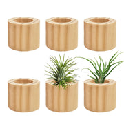 Belit front view of six pine wood holders showing minimalist display and warmth