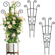 Belmeri trellis front view showing full height and clean lines, supporting taller growth