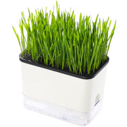 BENPIN front view of planter showing compact design and tidy finish