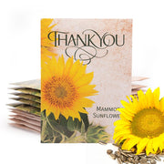 Bentley Seed Co. front packet showing thank you message and gift-ready design