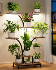 BEWAERIL front view full rack showing vertical plant display and space savings