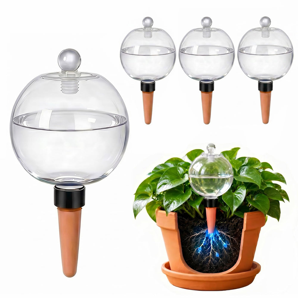 BIBMAMA front view of four 26 oz globes showing capacity and style