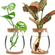 Biggun front view of two drop-shaped vases showing elegant display and easy propagation