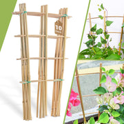 Biotol front view of 16-inch fan-shaped trellis showing support structure and natural look
