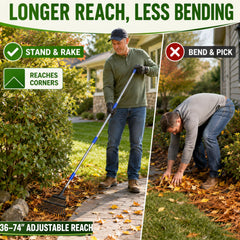 Bird Twig rake clearing leaves in a garden bed for tidy edges and less plant disturbance