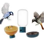 Bird Buddy front view with 3-in-1 set attached showing modular benefits
