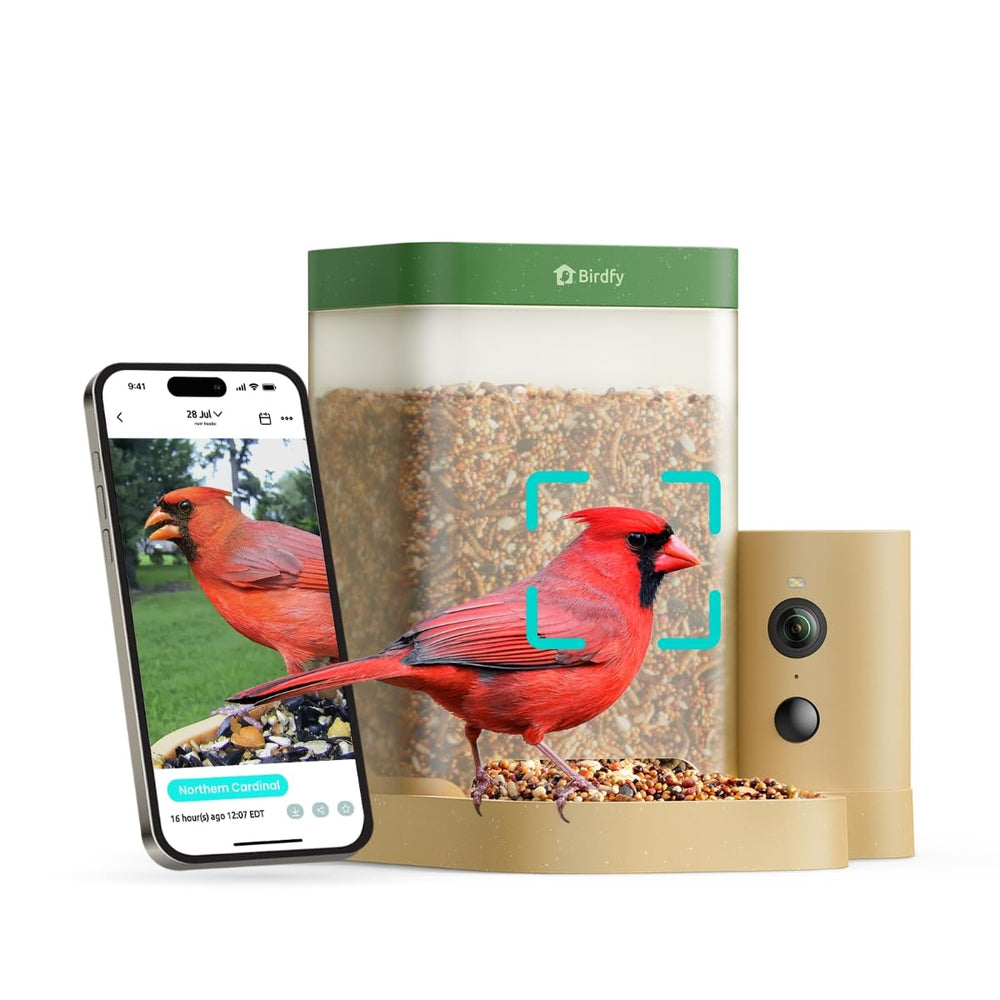 Birdfy front view showing feeder design and clear camera aperture benefit