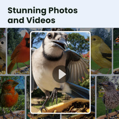 Birdfy mounted on pole demonstrating stable installation and outdoor durability