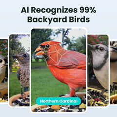 Birdfy side camera close-up highlighting lens clarity and detailed viewing