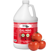 Bloom City front bottle view showing product and clean label benefits