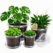 bluepro front view of 20-pack pots showing variety and organization benefiting inventory