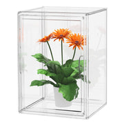 BOHOIDEE front view of clear mini greenhouse showing tidy plant display and protection