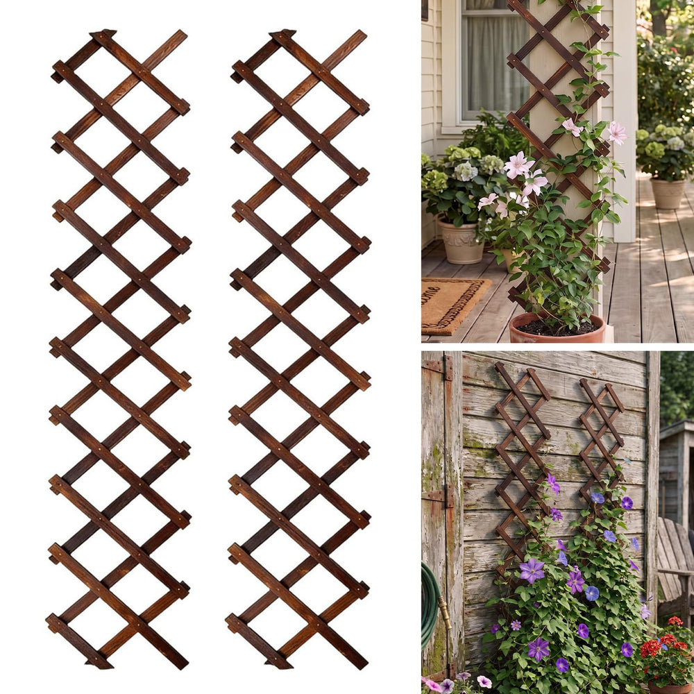 Bounmer front view of expanded trellis showing full lattice and coverage