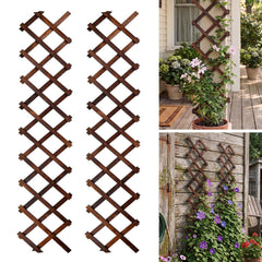 Bounmer front view of expanded trellis showing full lattice and coverage