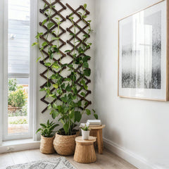 Bounmer trellis in garden supporting climbing vines and improving vertical greenery