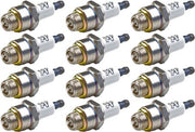 Briggs & Stratton front view of 12-pack spark plugs showing OEM packaging and readiness