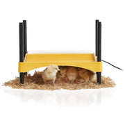 Brinsea front view showing compact brooder plate and safe design
