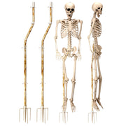 Briwooody front view stand showing upright support and realism