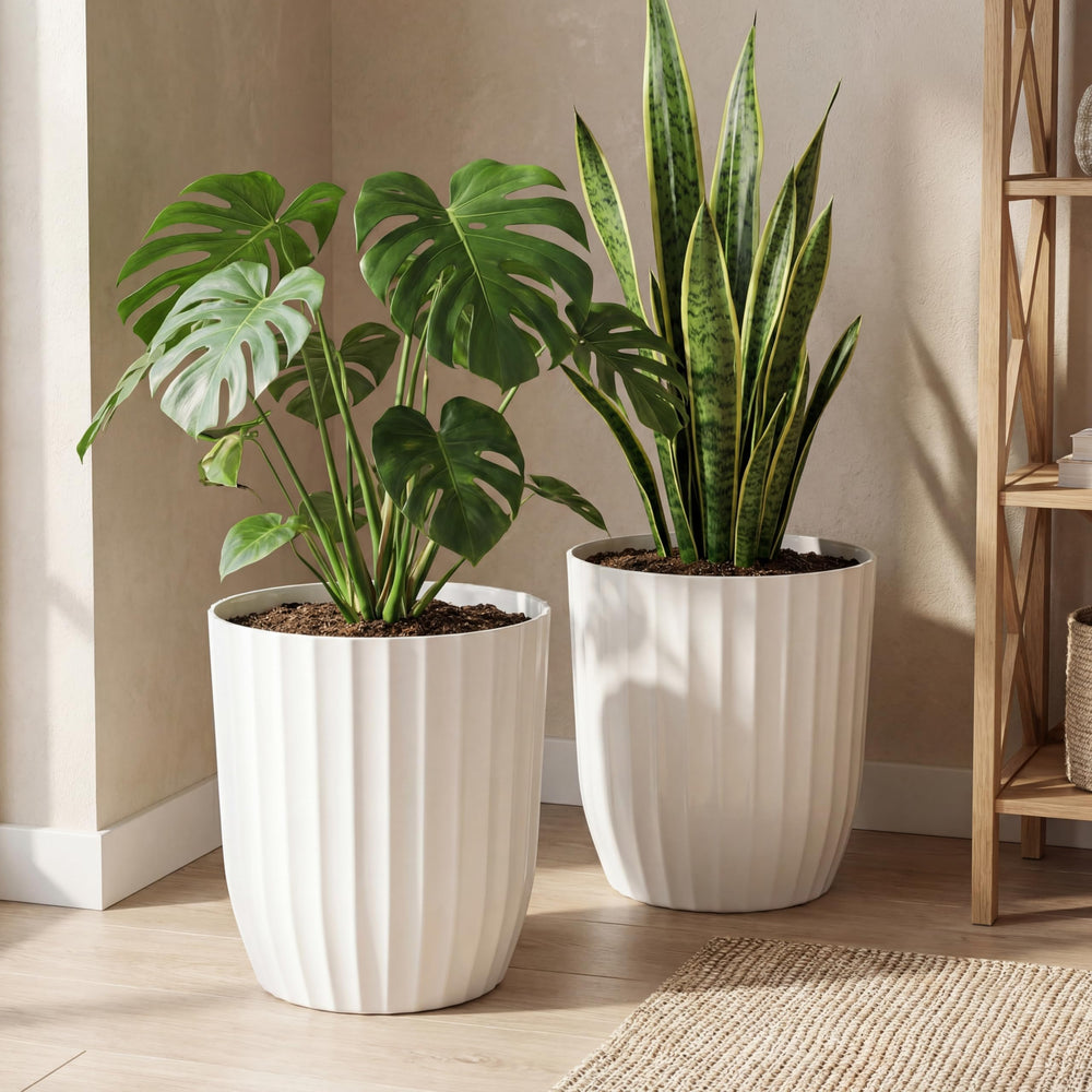 briwooody front view showing two white fluted planters and clean modern look