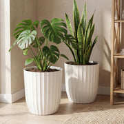 briwooody front view showing two white fluted planters and clean modern look