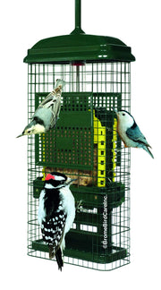 Brome front view showing green squirrel-proof design and feeding ports, durable and visible