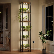 Bstrip front view full stand showing six tiers and slim footprint for stylish display